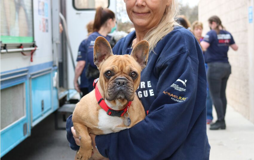 The Sport of Kings: A Timeless Journey Through Horse Racing image